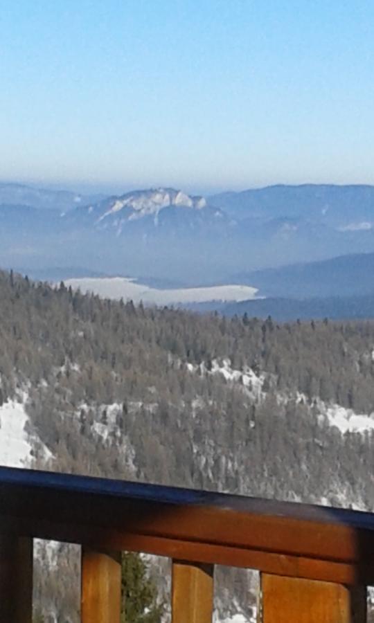 Ubytovanie Sokolica Cerveny Klástor Exterior foto